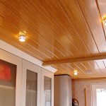 picture of pvc ceiling