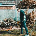 best lawn care