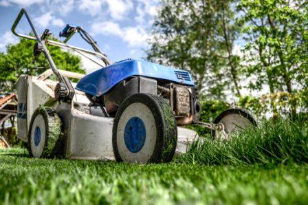 why is lawn care important