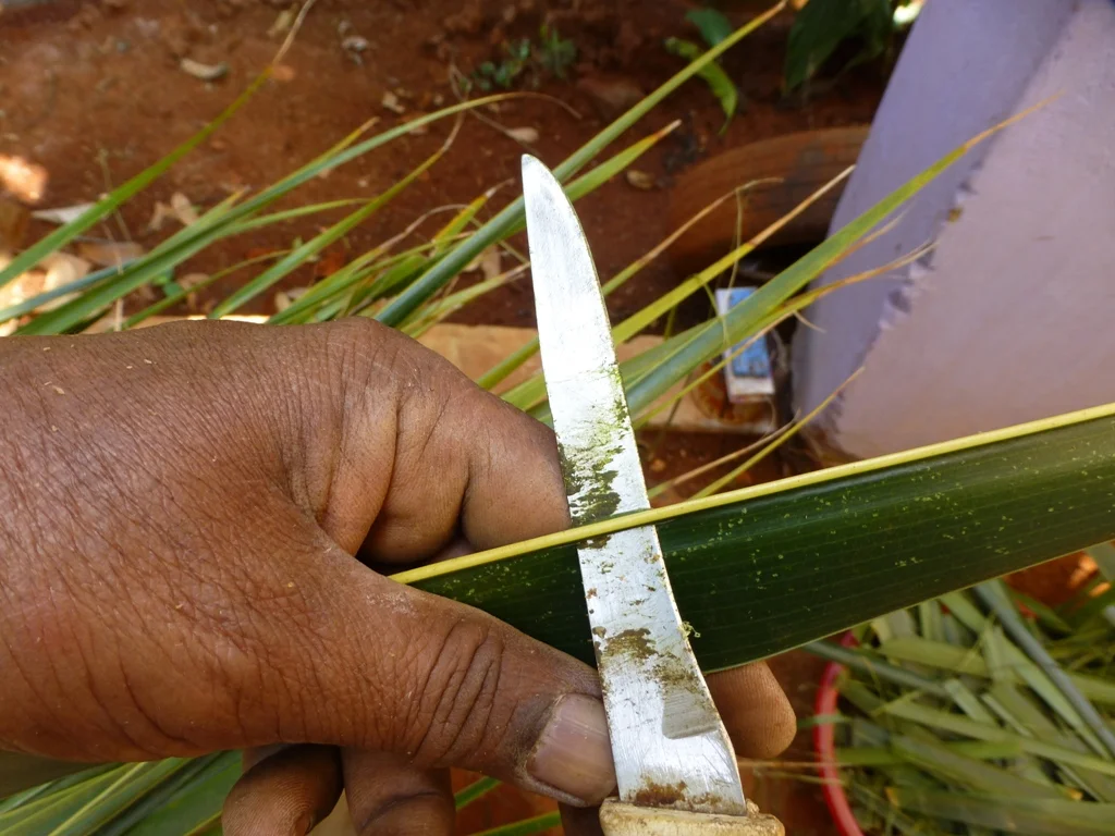 uses of palm tree in nigeria